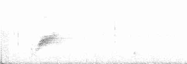 Bruant à gorge blanche - ML358519021