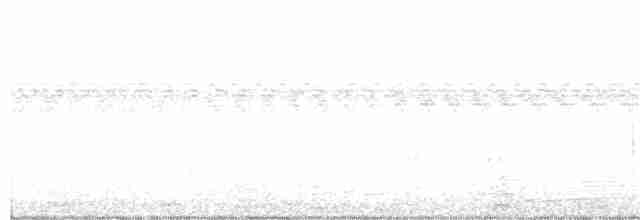 Large-tailed Antshrike - ML358603201