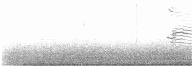 Делавэрская чайка - ML358617461
