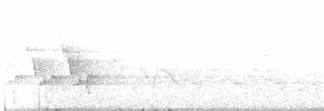 lesňáček modrokřídlý - ML358618001
