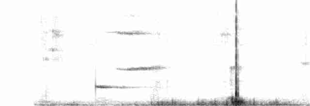 Gray-hooded Warbler - ML358723081