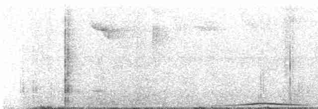 holub parukový - ML358777031