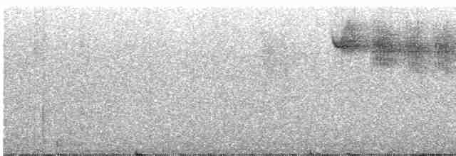 Yellow-shouldered Grassquit - ML358791051
