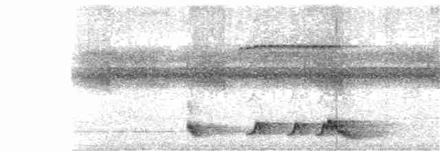 Rostnachtschwalbe - ML358825611