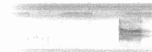 Loggerhead Shrike - ML35883571