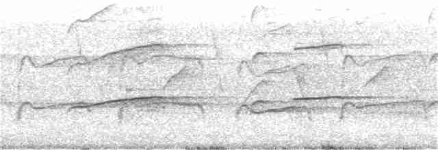 Скопа західна (підвид cristatus) - ML358875611