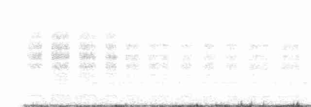 Woodchat Shrike (Balearic) - ML358884221