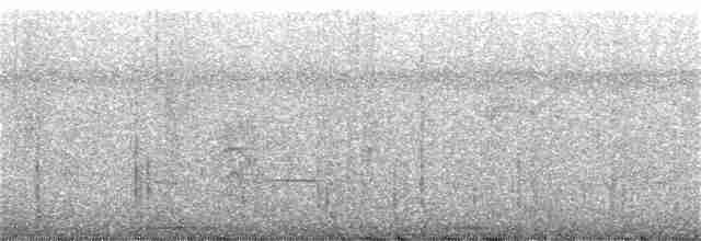 Güneyli Bıyıksız Tiranulet - ML358963101