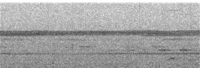 Lyre-tailed Nightjar - ML358982741