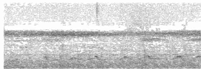Lyre-tailed Nightjar - ML358983791