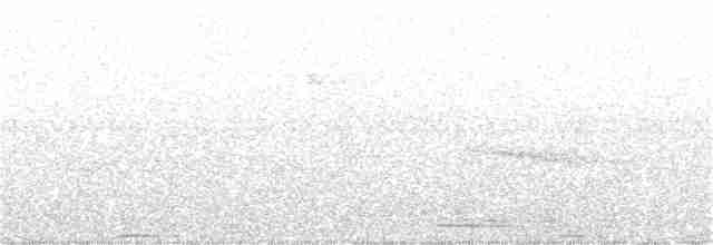Koca Başlı Motmot [platyrhynchum grubu] - ML358997541