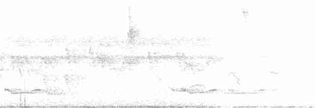Plumbeous Kite - ML359101181