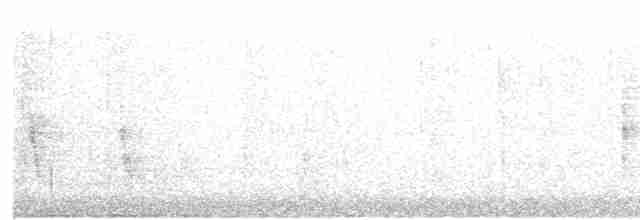 White-eyed Vireo - ML35910771