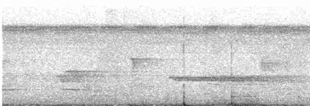 Gözlüklü Yerçavuşu - ML359154161