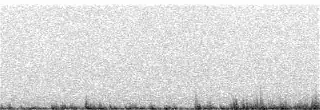 סנונית בלתי-מזוהה - ML359242531