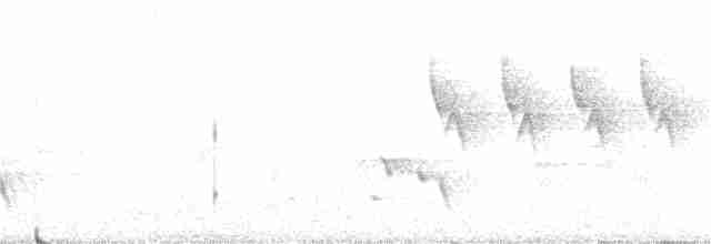 Streifenpanthervogel (striatus) - ML359265351
