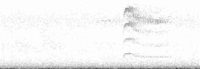 Красногрудый дятел-сокоед - ML359282201