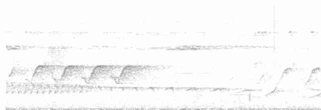 nordvatretreløper (sanctithomae gr.) - ML359312321