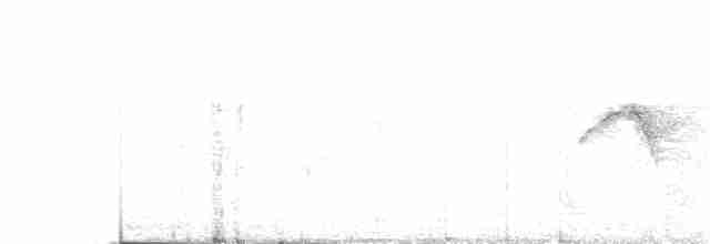 Тапіранга білодзьоба - ML359328651