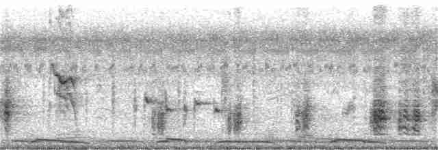 Clamorous Reed Warbler - ML359335301