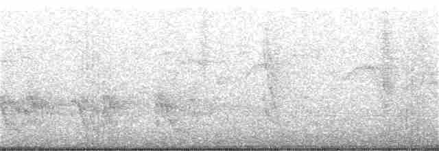 Тиран-малюк омеловий - ML359362541