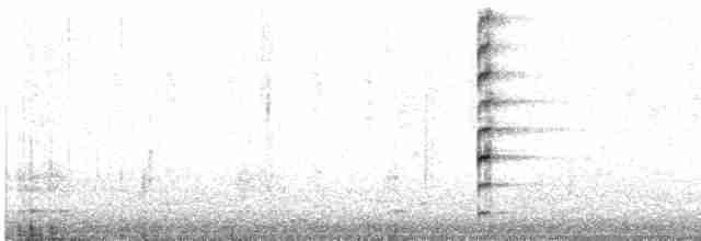 Common Gallinule (American) - ML359487691