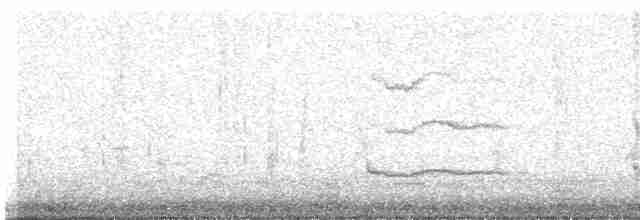 Common Gallinule (American) - ML359487721