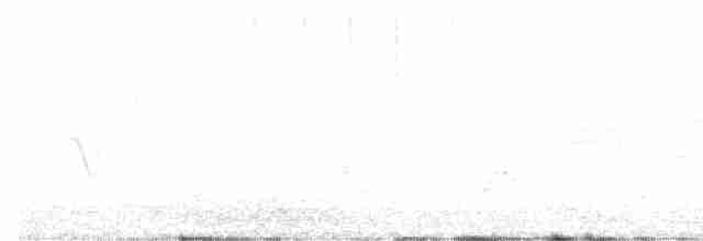 Black-throated Gray Warbler - ML359535431