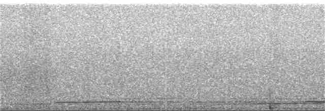 Гагара полярна - ML359545531
