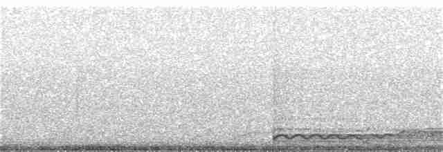 Гагара полярна - ML359545591