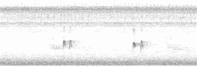 Каролинский крапивник - ML359552131