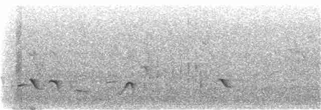 Hirondelle noire (hesperia) - ML359584871
