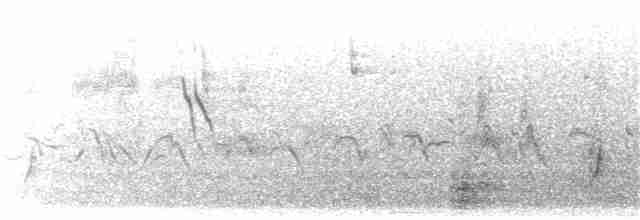 ムラサキツバメ（hesperia） - ML359585241
