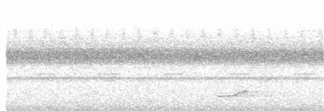 Bändernachtschwalbe - ML35961911