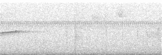 Cerulean Warbler - ML359623221