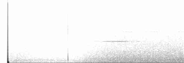 White-necked Thrush - ML35964691