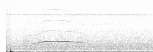 Boz Başlı Sinekkapan - ML359724591