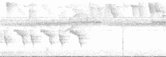 Ерміт-серподзьоб темнохвостий - ML359769191