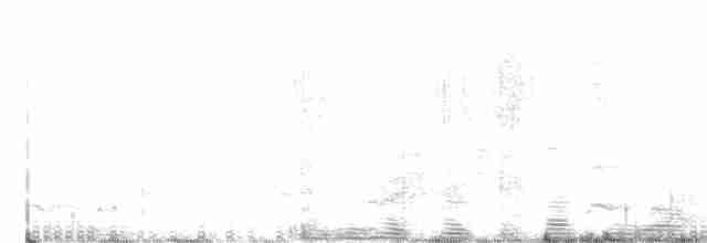白尾海鵰 - ML359902161