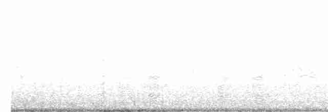 Бурый пеликан - ML359902191