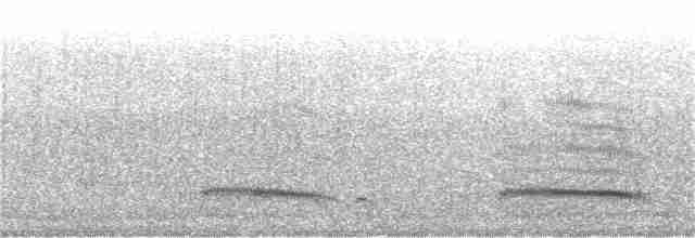 Mouette argentée (novaehollandiae/forsteri) - ML359974321