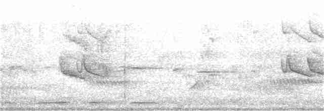 Мангровая белоглазка - ML359974901