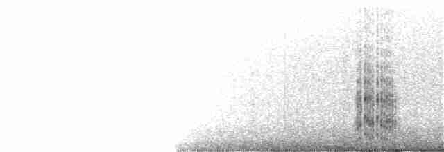 Крячок жовтодзьобий - ML360014761