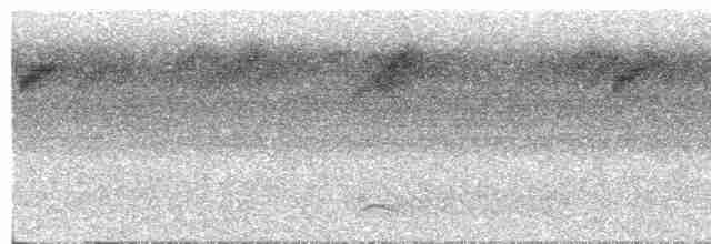Black-crowned Antshrike - ML360022271