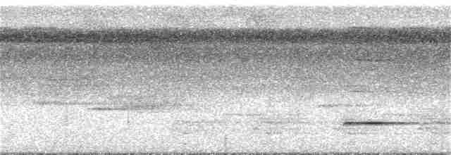 Kara Yüzlü Karıncaardıcı [hoffmanni grubu] - ML360032061