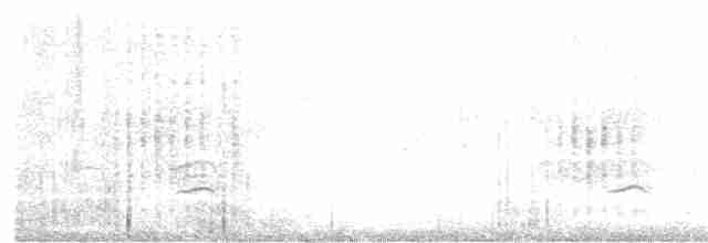 Great Reed Warbler - ML360060791