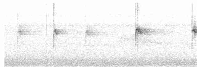 Белогорлая зонотрихия - ML360095861