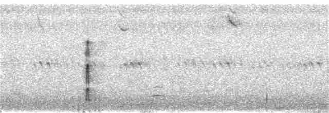Плавунець круглодзьобий - ML360114731