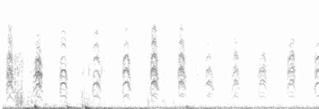 Black-necked Stilt - ML360116061