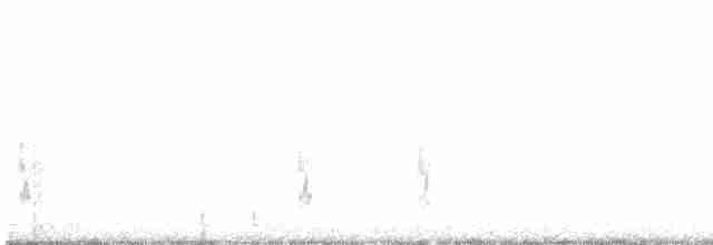 Snowy Plover - ML360116441